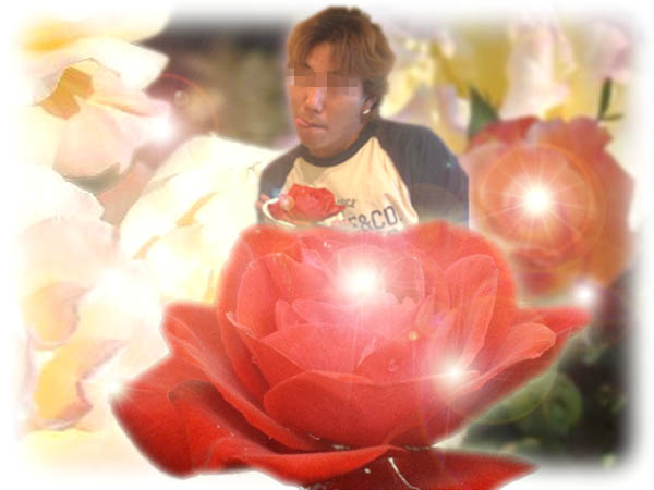 In the rose field, lunch